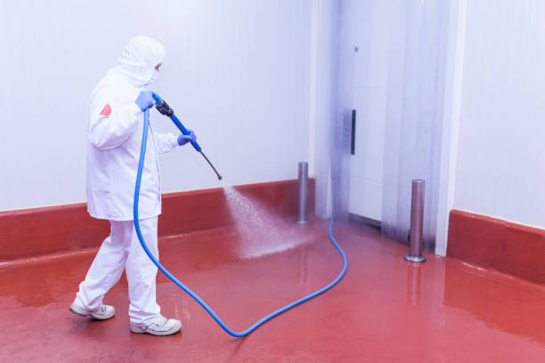Best Roof Washing  in Crandall, TX
